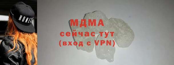 молекула духа Богородицк