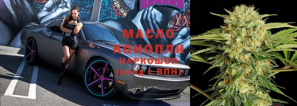 молекула духа Богородицк