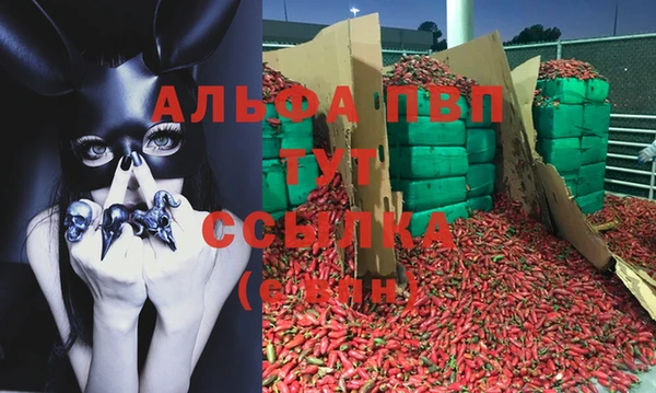 эйфоретик Белокуриха